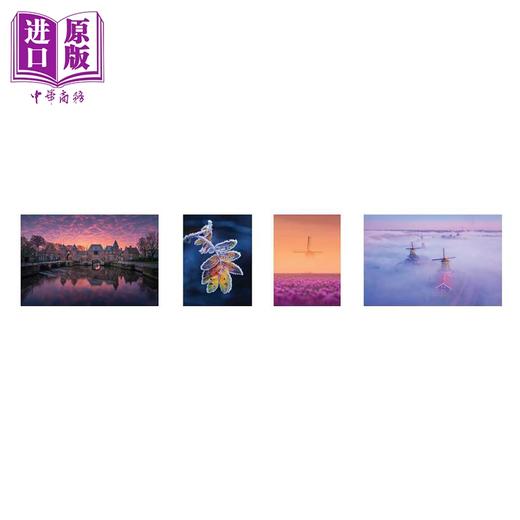 预售 【中商原版】10 Years of Photography by Albert Dros 进口艺术 荷兰之美 阿尔伯特德罗斯的10年摄影作品 商品图1