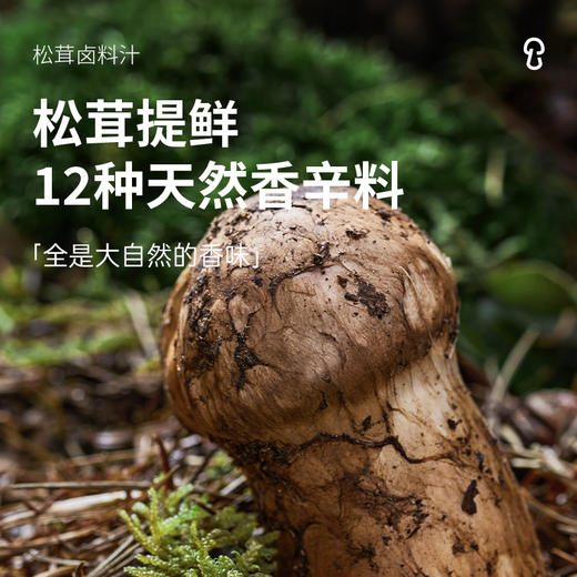 【新人9.9特价福利】 松茸卤料汁老卤汁55g*2袋  天然香辛料卤啥都好吃  制作步骤简单在家实现卤货自由 商品图5