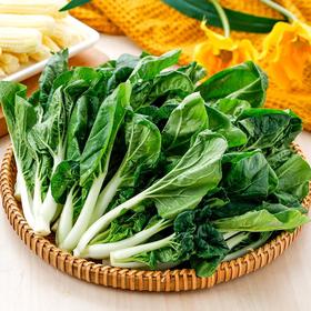 每日伊藤奶白菜400g