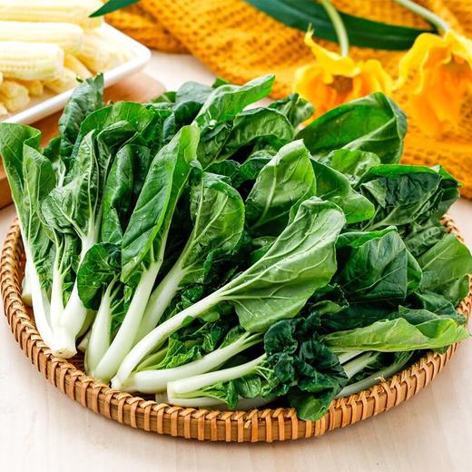 每日伊藤奶白菜400g 商品图0