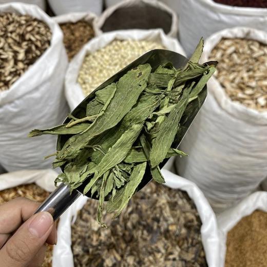 甜叶菊 商品图4