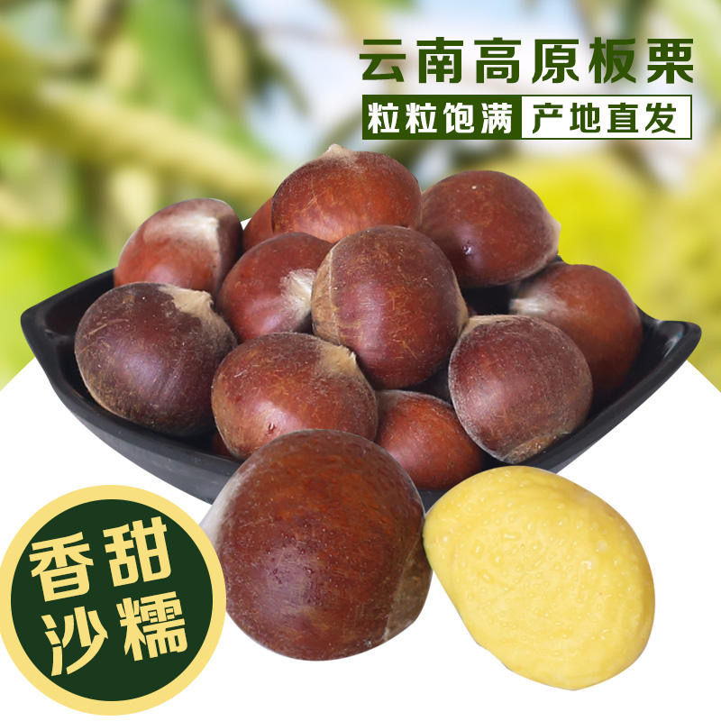 【新鲜生板栗】应季栗子 粒粒饱满 甘甜清脆 色泽自然鲜亮 果仁呈米黄色 生吃甘甜清脆 煮熟吃香甜软糯 多种规格任选
