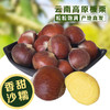 【新鲜生板栗】应季栗子 粒粒饱满 甘甜清脆 色泽自然鲜亮 果仁呈米黄色 生吃甘甜清脆 煮熟吃香甜软糯 多种规格任选 商品缩略图0