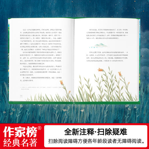 《夏日走过山间》|  与《瓦尔登湖》齐名 美国版《阿勒泰的角落》 商品图6