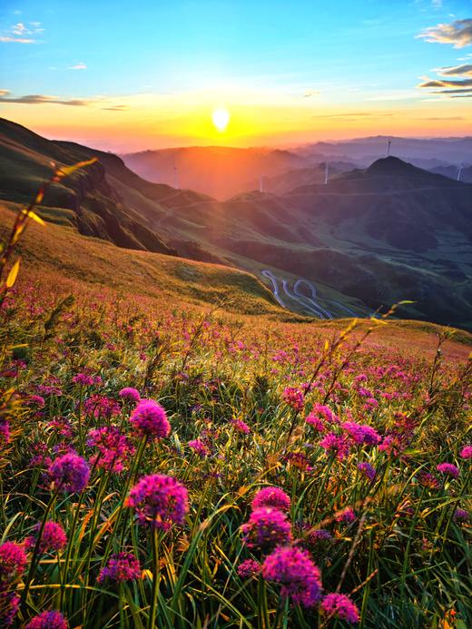 【贵州】普罗旺斯韭菜坪•乌蒙大草原•天龙屯堡4天摄影 商品图2