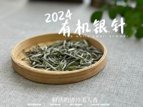 【2024春茶来了】2024有机银针，鲜竹叶香、花香、稻谷香，茶汤如清泉般清透，犹如鲜香浓郁的清冷美人！