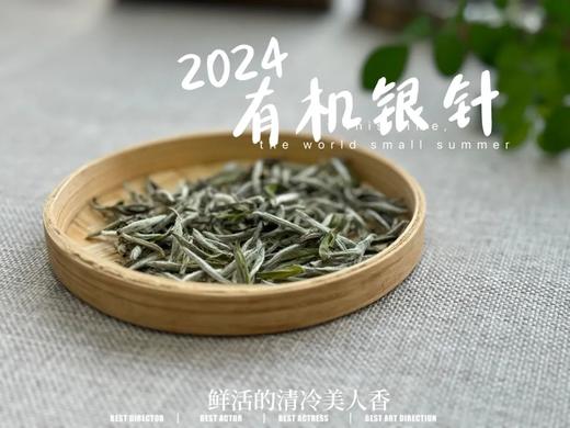 【2024春茶来了】2024有机银针，鲜竹叶香、花香、稻谷香，茶汤如清泉般清透，犹如鲜香浓郁的清冷美人！ 商品图0