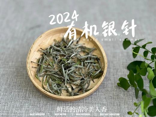 【2024春茶来了】2024有机银针，鲜竹叶香、花香、稻谷香，茶汤如清泉般清透，犹如鲜香浓郁的清冷美人！ 商品图2