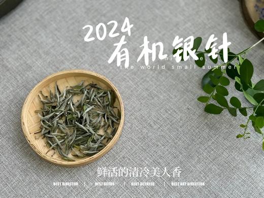 【2024春茶来了】2024有机银针，鲜竹叶香、花香、稻谷香，茶汤如清泉般清透，犹如鲜香浓郁的清冷美人！ 商品图1