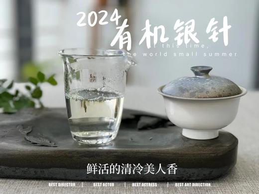 【2024春茶来了】2024有机银针，鲜竹叶香、花香、稻谷香，茶汤如清泉般清透，犹如鲜香浓郁的清冷美人！ 商品图7
