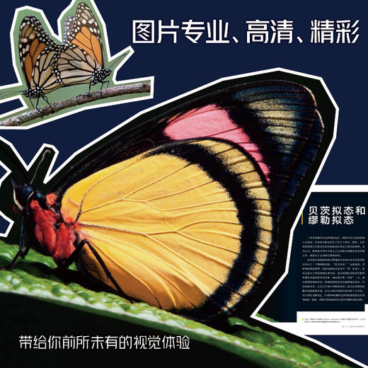 美国国家地理甄选礼盒第二辑(全4册) 商品图3