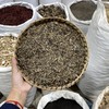 金钟茵陈 商品缩略图0