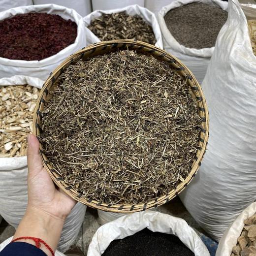 金钟茵陈 商品图0