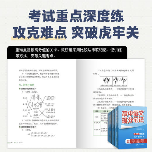 张雪峰高中提分笔记系列  高中同步知识讲解突破难点培优 商品图4