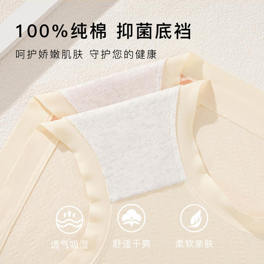波浪提花内裤女100%纯棉裆中腰大码全包臀不夹裆波浪提花内裤5条装 商品图4