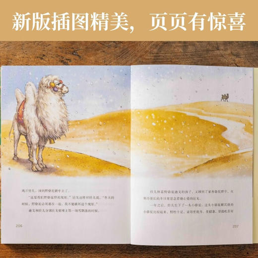 杨红樱童话：再见野骆驼 杨红樱童话，像妈妈一样有爱的童话，助力孩子习惯、性格及品质的培养；真诚快乐并不是“笨”和“傻”，而是这个世界最有力量的品质；新版插图精美，页页有惊喜 商品图3