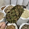 翠云草 商品缩略图4