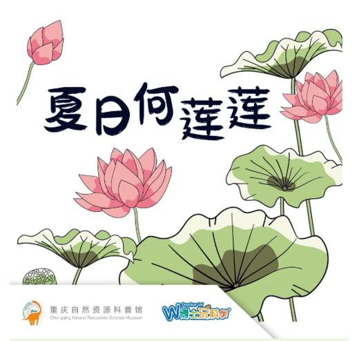 重庆自然资源科普馆 | 【夏日何莲莲】 商品图0