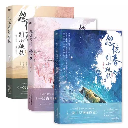 【全3册】忽惊春到小桃枝123小说 黍宁 商品图0