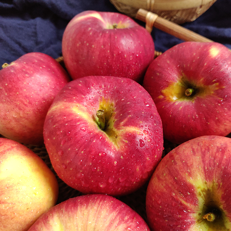 【好吃的】云南 红露苹果 头茬鲜果 入口清脆 酸甜可口 家庭装/礼盒装