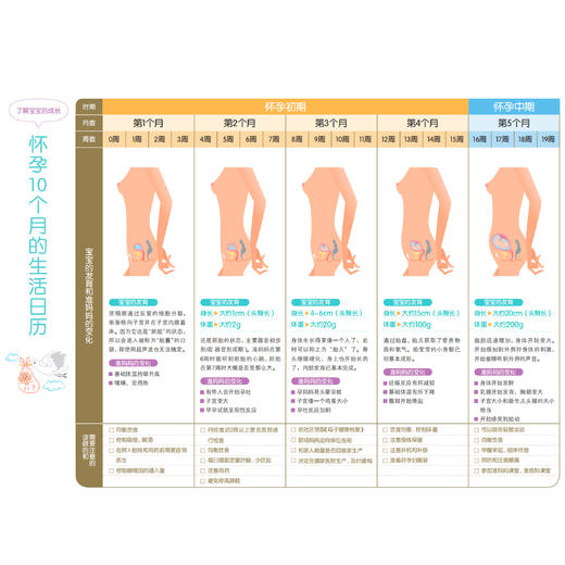 《产科医生说怀孕分娩育儿》 商品图5