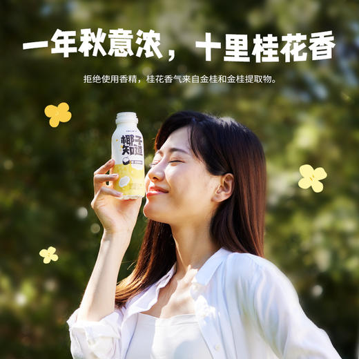 椰子知道 0糖金桂鲜椰汁 280ml*6 商品图0