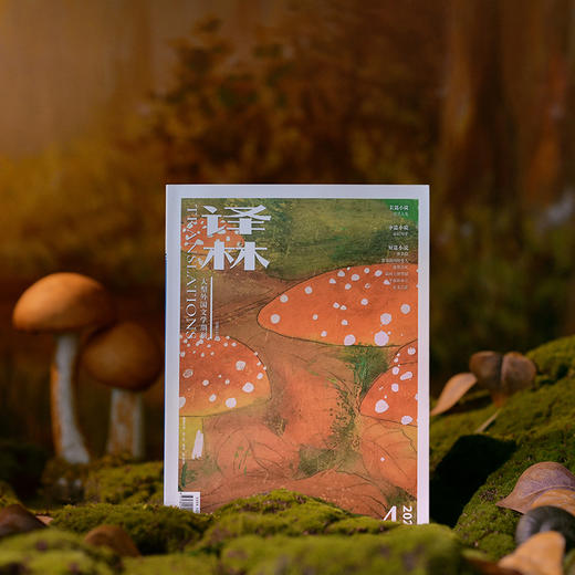 2024年《译林》杂志 第4期 商品图10