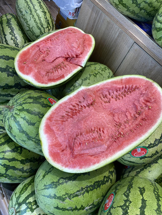 宏丰精选   石缝瓜新鲜到货口感很好，很脆，活动价1.98元一斤 商品图5