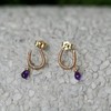 SpoiledBrat Jewelry新年礼物 幸运马蹄 彩色宝石小耳钉 商品缩略图3