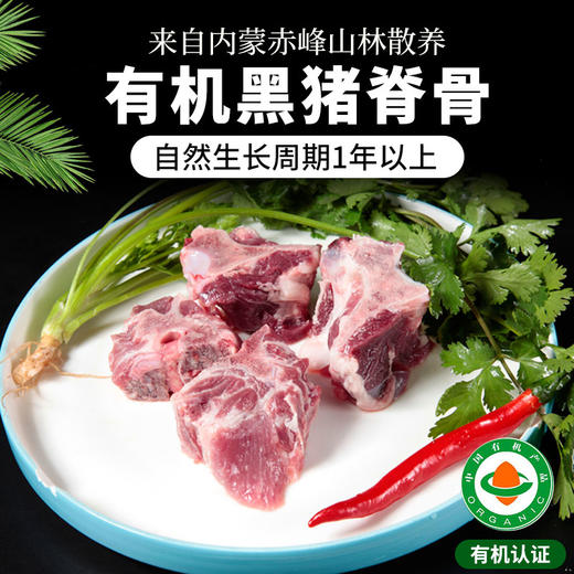 【厂商直发】内蒙古散养有机黑猪肉多部位可选无激素抗生素生长周期1年以上 商品图11