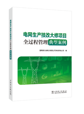 电网生产技改大修项目全过程管理典型案例