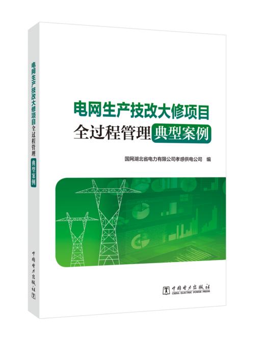 电网生产技改大修项目全过程管理典型案例 商品图0