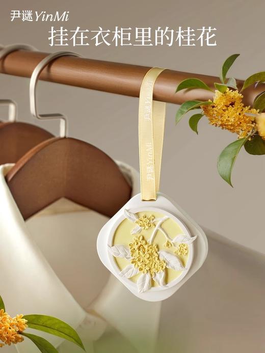 种草【第二件5.9🉐  五件💰61.5】车载家居两用「时令香牌」 商品图1