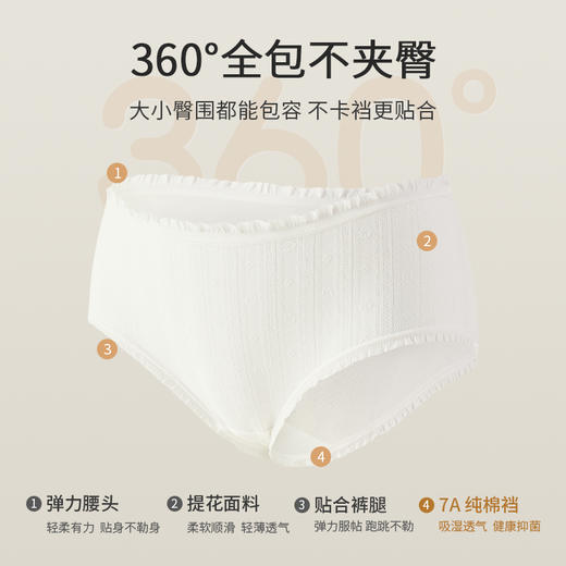 洁丽雅7A抑菌中腰纯棉女士内裤简约舒适高弹亲肤纯棉底裆内裤女 商品图7