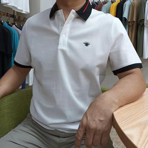 短袖T恤夏季时尚纯色休闲日常翻领丝光棉T恤  DXYDT2110078* 商品图0