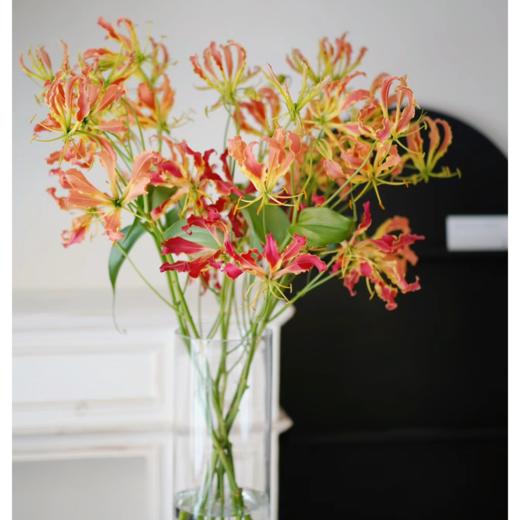 嘉兰丨橙红 商品图2