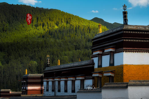 【九色甘南】莲宝叶则•扎尕那•郎木寺•九曲黄河第一湾•若尔盖草原•拉卜楞寺风光人文10天 商品图7
