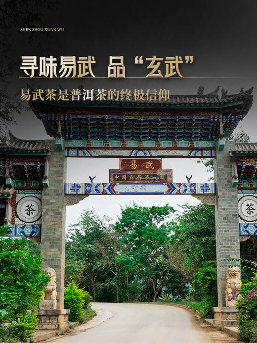 【神兽—玄武】2024年春茶 已入选易武博物馆 神兽事业部独立出品 普洱茶生茶 1箱内含5饼*357克礼盒装 拍5箱发6箱 商品图6