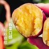 【桥头富硒地瓜】爆款地瓜推荐 板栗的味道,甜而不腻,无筋无丝,粉糯香甜，硒元素含量高！不打药 不打除草剂 生态种植板栗薯，现挖新鲜农家板栗红薯 商品缩略图0
