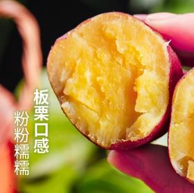 【桥头富硒地瓜】爆款地瓜推荐 板栗的味道,甜而不腻,无筋无丝,粉糯香甜，硒元素含量高！不打药 不打除草剂 生态种植板栗薯，现挖新鲜农家板栗红薯