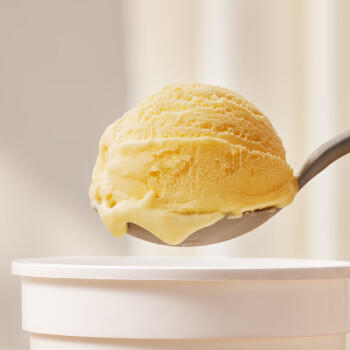 八喜冰淇淋 香草口味283g*1杯  冰淇淋  小杯装 商品图0