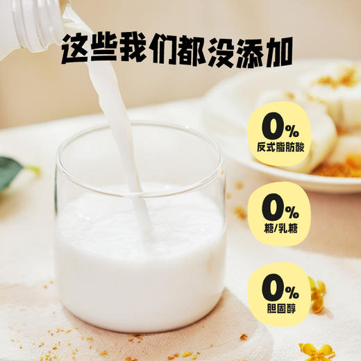 椰子知道 0糖金桂鲜椰汁 280ml*6 商品图4