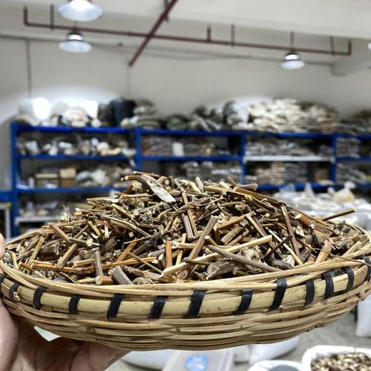 倒扣草 商品图1