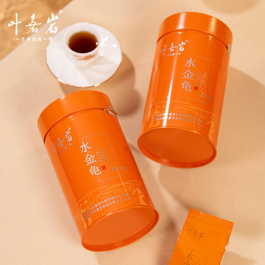 叶嘉岩·铁罐水金龟 商品图4