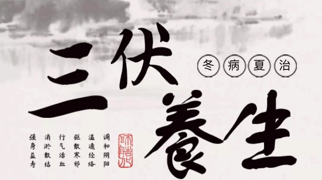 三伏健脾祛湿