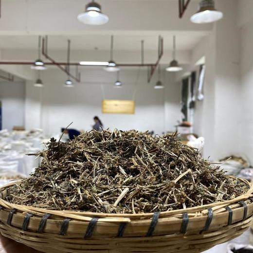 金钟茵陈 商品图1