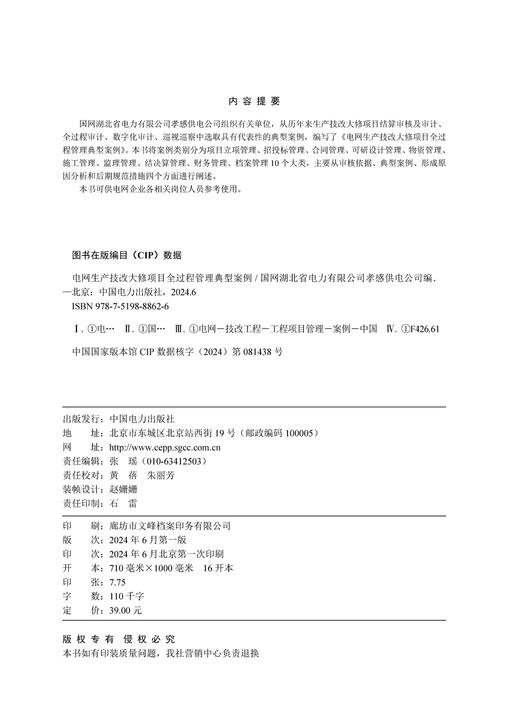 电网生产技改大修项目全过程管理典型案例 商品图3
