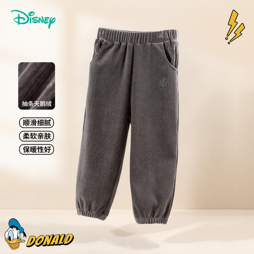 【商城同款】迪士尼童装儿童裤子秋冬男童长裤天鹅绒保暖宝宝休闲裤ZD3DK019 商品图0