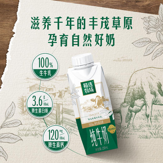 【精选牧场敕勒川限定】蒙牛精选牧场敕勒川限定全脂纯牛奶梦幻盖250ml×10包 商品图1