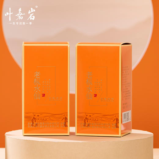 叶嘉岩·铁罐老枞水仙 商品图2